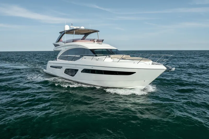 Slide: The Image of Princess F62 Stumped- Profile - 17