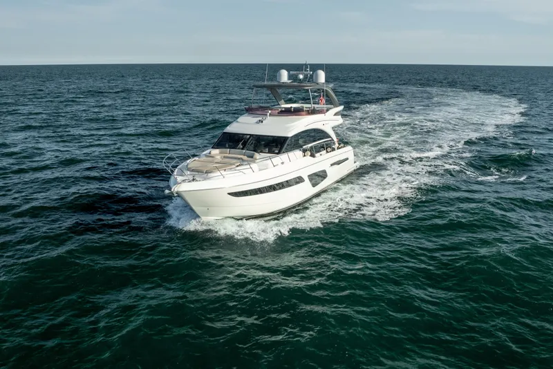 Slide: The Image of Princess F62 Stumped- Profile - 18