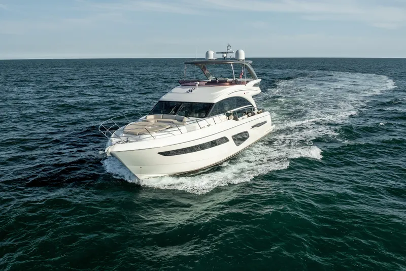 Slide: The Image of Princess F62 Stumped- Profile - 19