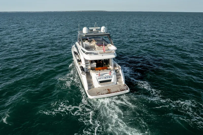 Slide: The Image of Princess F62 Stumped- Profile - 6