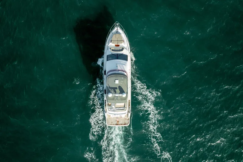 Slide: The Image of Princess F62 Stumped- Profile - 7