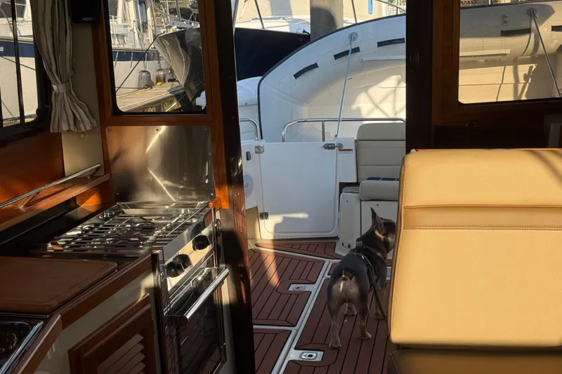 Slide: The Image of Interior of 2024 Ranger Tugs R31CB with kitchen and seating area, featuring a small dog. - 21