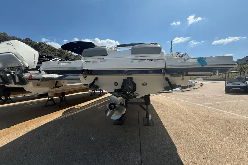 Slide: The Image of Sea Ray 290 Sundeck 2024 - 23