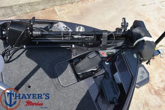 Slide: The Image of Bass Cat Lynx STS 2026 - 10