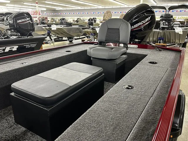 Slide: The Image of Tracker Panfish 17 2025 - 4