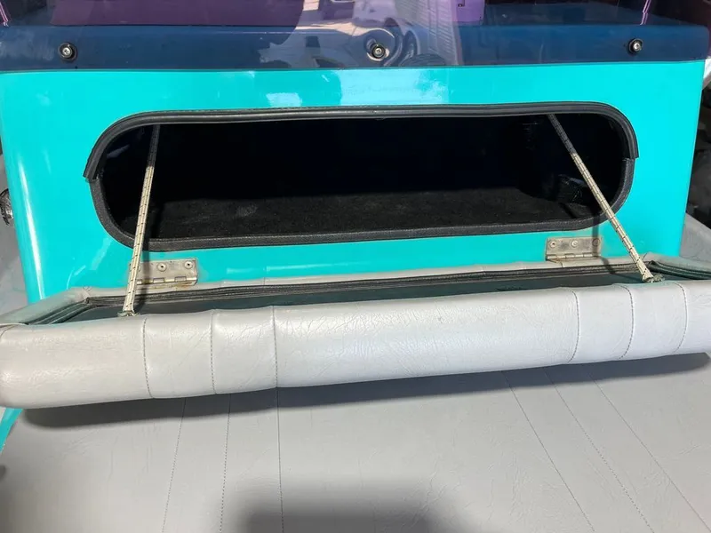 Slide: The Image of Majek Red Fish Line 2019 - 20