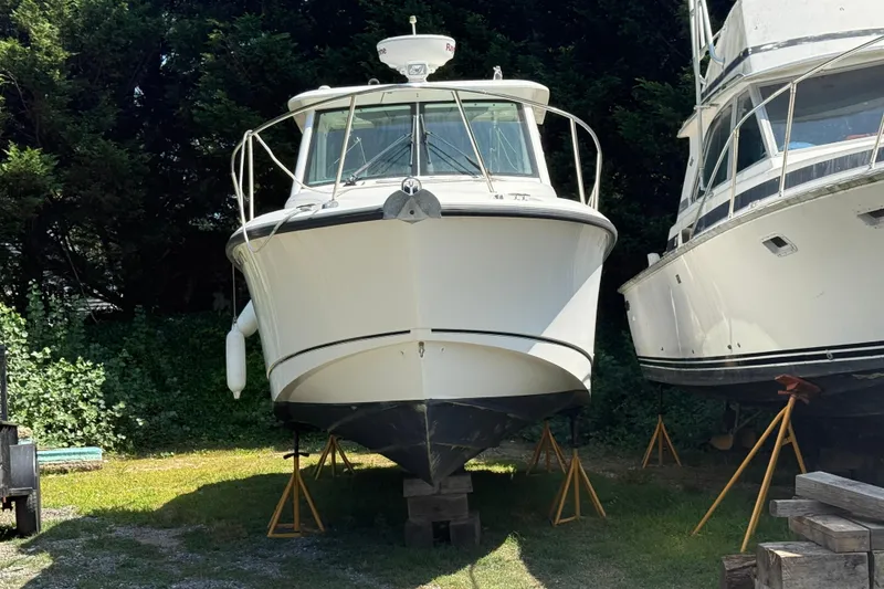 Slide: The Image of 2014 Boston Whaler 285 Conquest boat on stands, surrounded by greenery. - 15