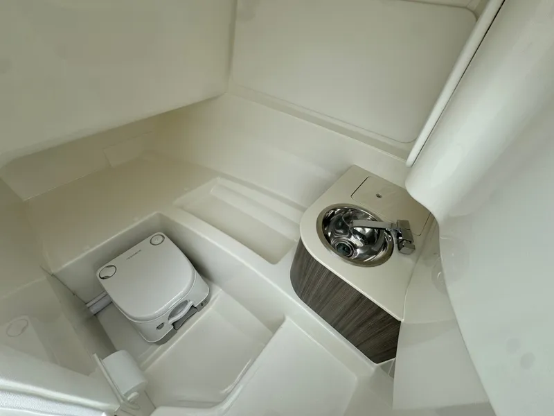 Slide: The Image of Sea Ray SDX 250 Outboard 2026 - 29