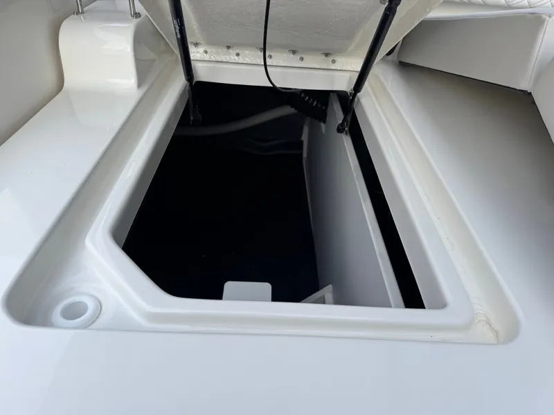 Slide: The Image of Sea Ray SDX 290 2026 - 28