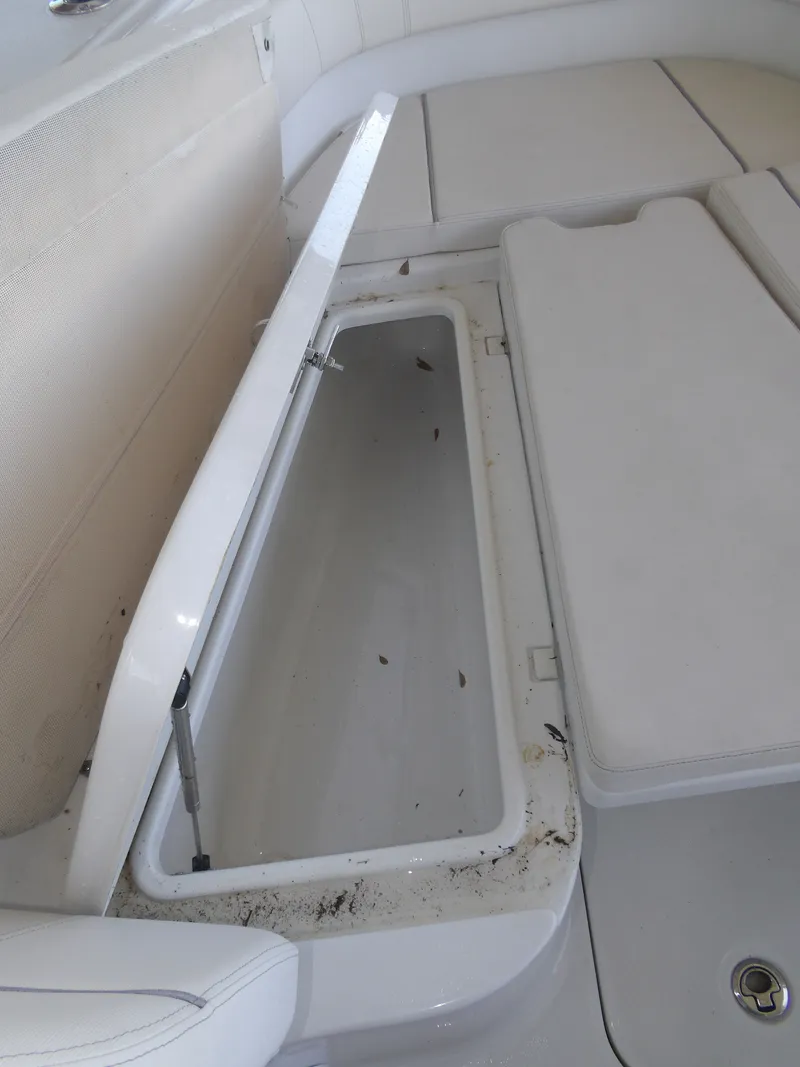 Slide: The Image of Sea Hunt Gamefish 2023 - 29