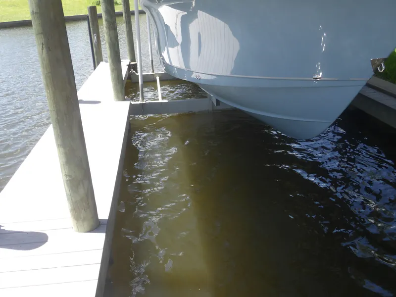 Slide: The Image of Sea Hunt Gamefish 2023 - 6