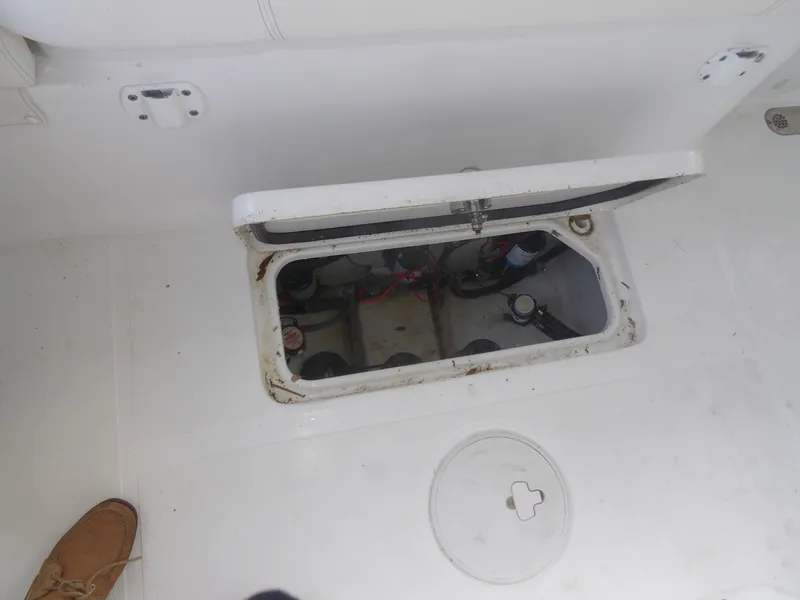 Slide: The Image of Sea Hunt Gamefish 2023 - 71