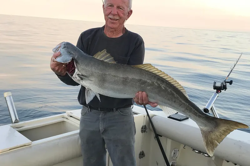 Slide: The Image of Man holding large fish on 2003 Albin 28 TE boat, ocean backdrop. - 41