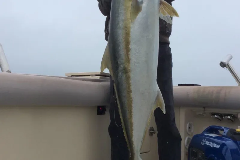 Slide: The Image of Person holding large fish on 2003 Albin 28 TE boat deck. - 42