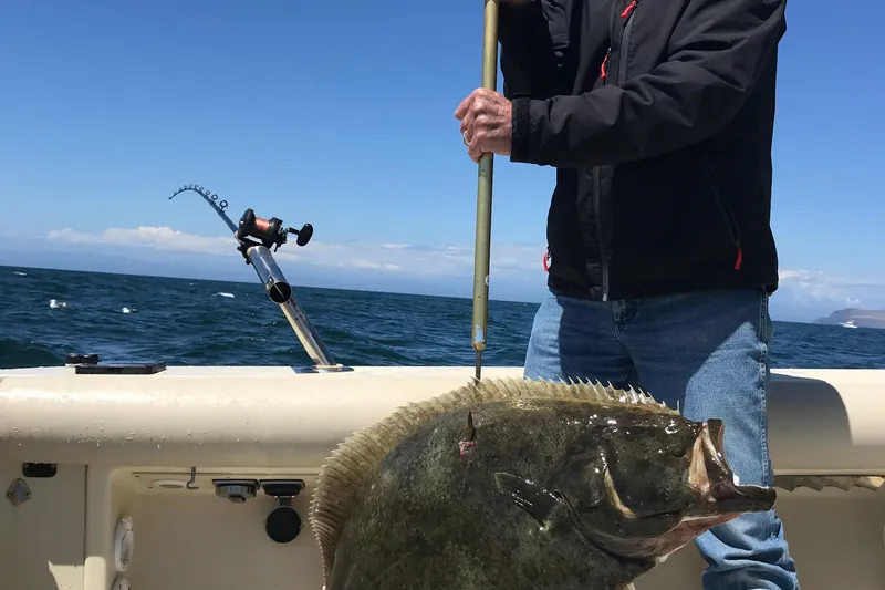Slide: The Image of Man holding large fish on 2003 Albin 28 TE boat, ocean backdrop. - 43