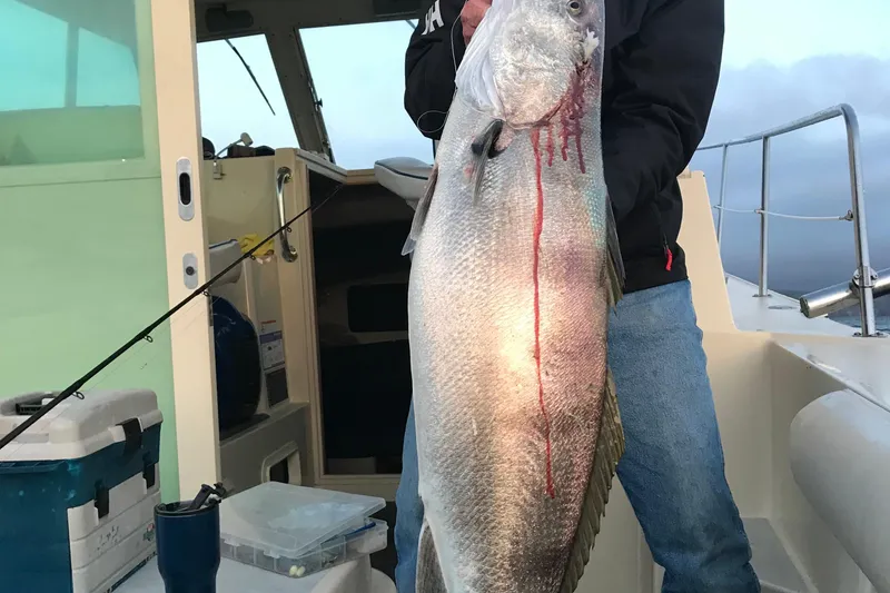 Slide: The Image of Person holding large fish on 2003 Albin 28 TE boat deck. - 44