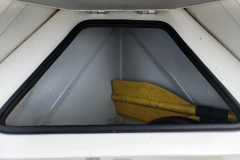 Slide: The Image of Storage compartment of 2019 Novurania DL 400 boat with yellow paddle inside. - 16