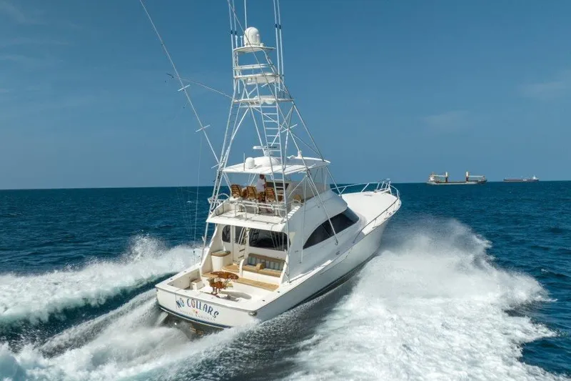 Slide: The Image of 2015 Viking 66 No Collars - Profile - 55