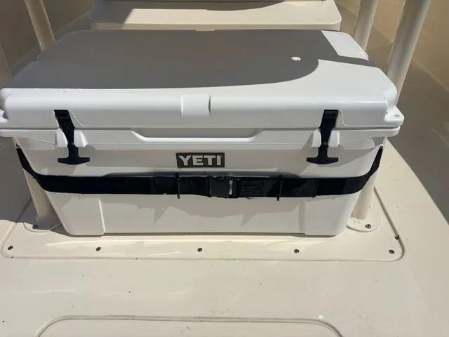 Slide: The Image of Scout 240 XSF 2024 - 6