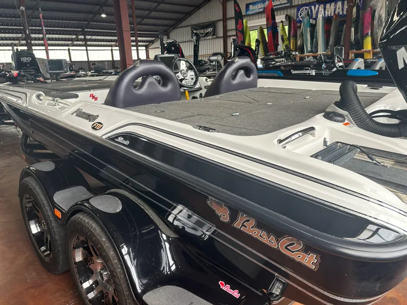 Slide: The Image of Bass Cat Puma 2014 - 14