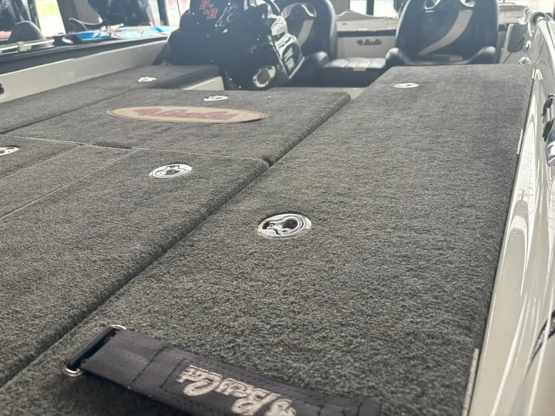 Slide: The Image of Bass Cat Puma 2014 - 17