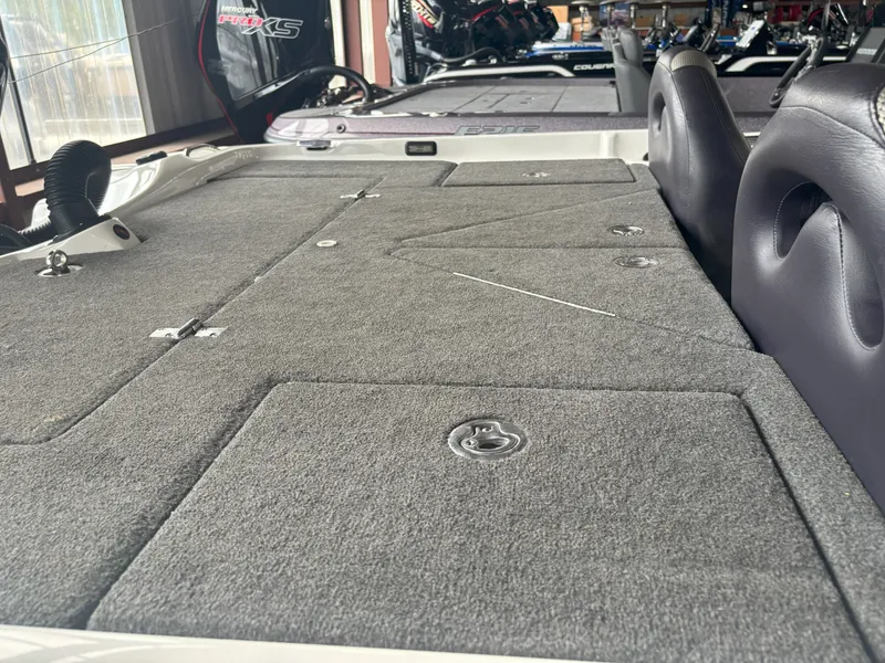 Slide: The Image of Bass Cat Puma 2014 - 21