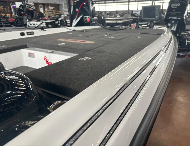 Slide: The Image of Bass Cat Puma 2014 - 5