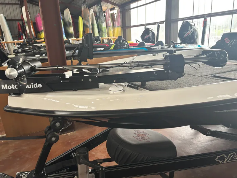 Slide: The Image of Bass Cat Puma 2014 - 7