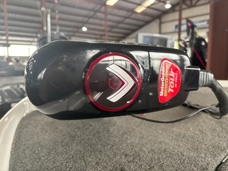 Slide: The Image of Bass Cat Puma 2014 - 8