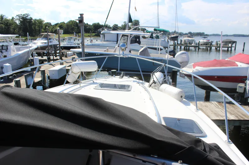 Slide: The Image of 2007 Chaparral Signature 310 docked at a marina with other boats. - 39