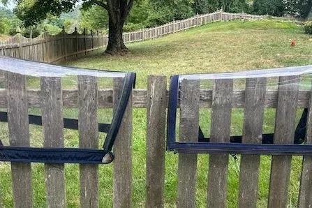 Slide: The Image of Wooden fence with clear pet windows overlooking a grassy yard. - 21
