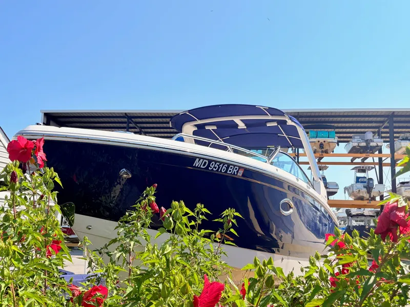 Slide: The Image of Chaparral 287 SSX 2021 - 8