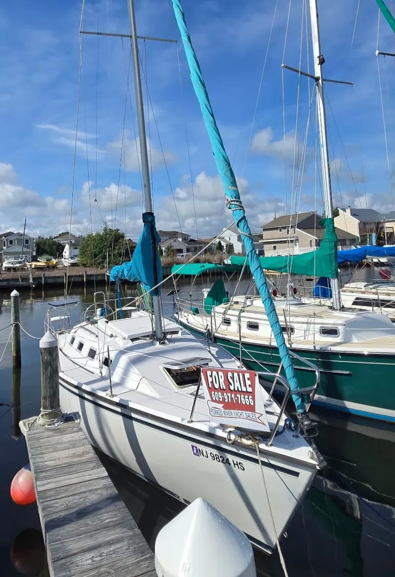 The Image of Precision 28 2004 - 0