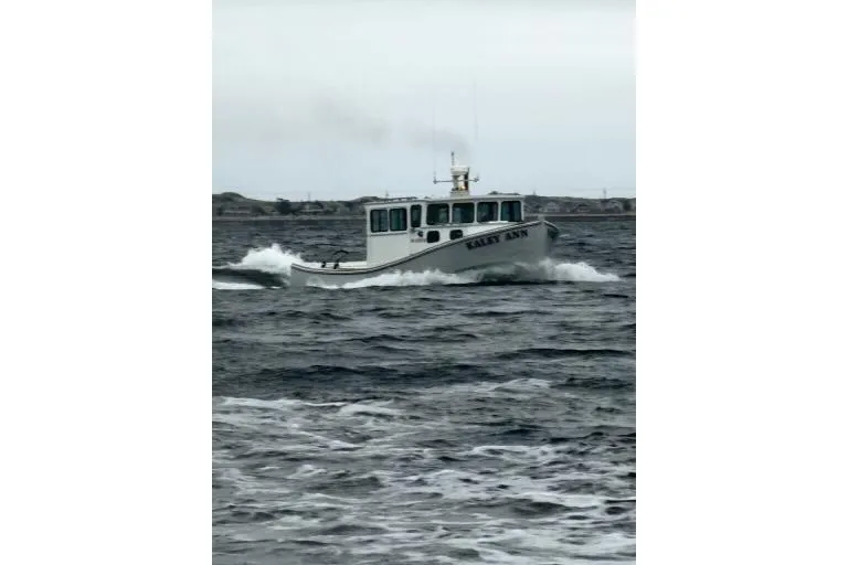 Slide: The Image of 1982 Stanley Greenwood/Novi 32 Downeast boat navigating choppy waters. - 61