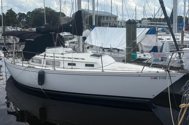 Slide: The Image of 1981 Sabre 31 sailboat docked at marina, white hull, black covers, for sale sign visible. - 29