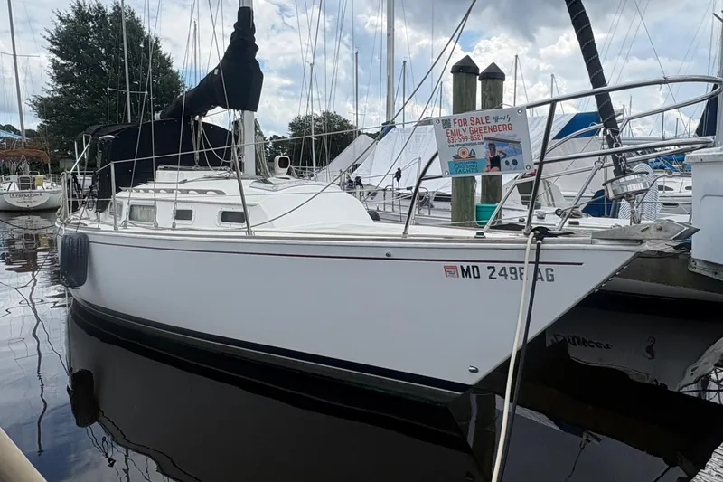 Slide: The Image of 1981 Sabre 31 sailboat docked, for sale, with visible registration number MD 2498 AG. - 30