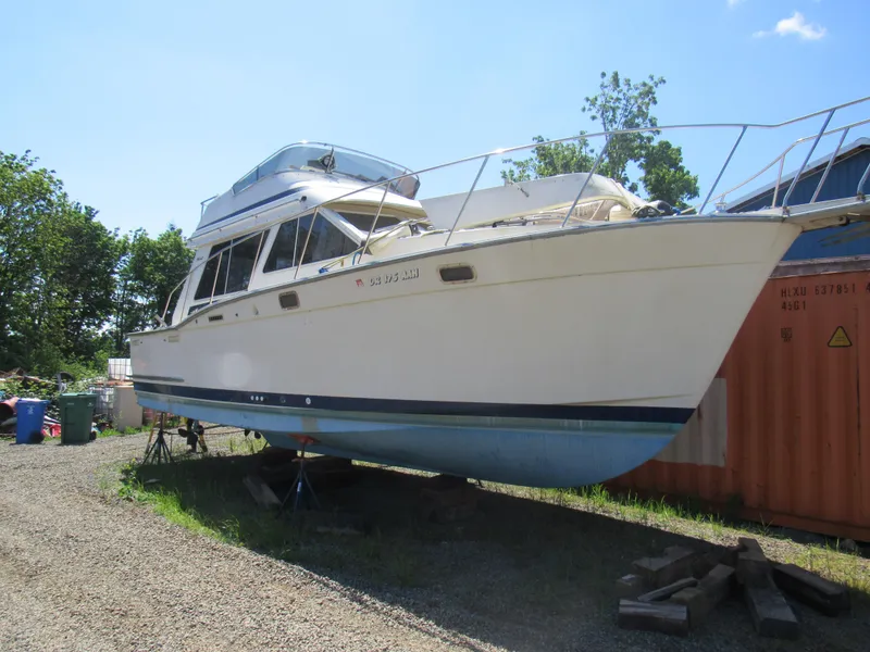 Slide: The Image of 1989 Tollycraft Sport Sedan boat on land, sunny day, trees in background. - 17