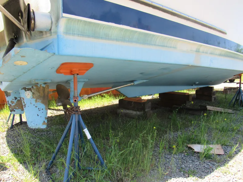 Slide: The Image of BOTTOM - 18