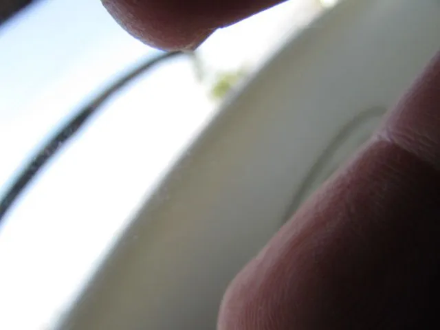 Slide: The Image of Sea Ray 290 Sundancer 2007 - 17