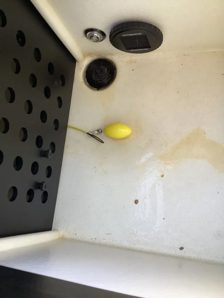 Slide: The Image of Skeeter FXR21 2021 - 47