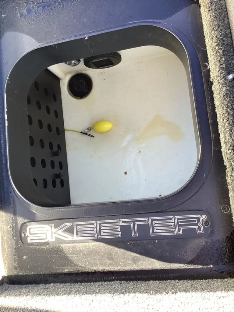 Slide: The Image of Skeeter FXR21 2021 - 48