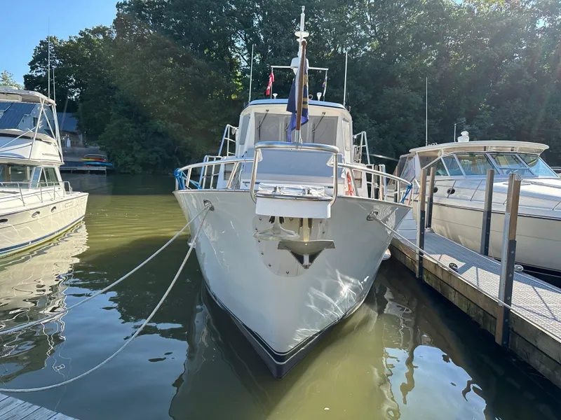 Slide: The Image of Davit - 45