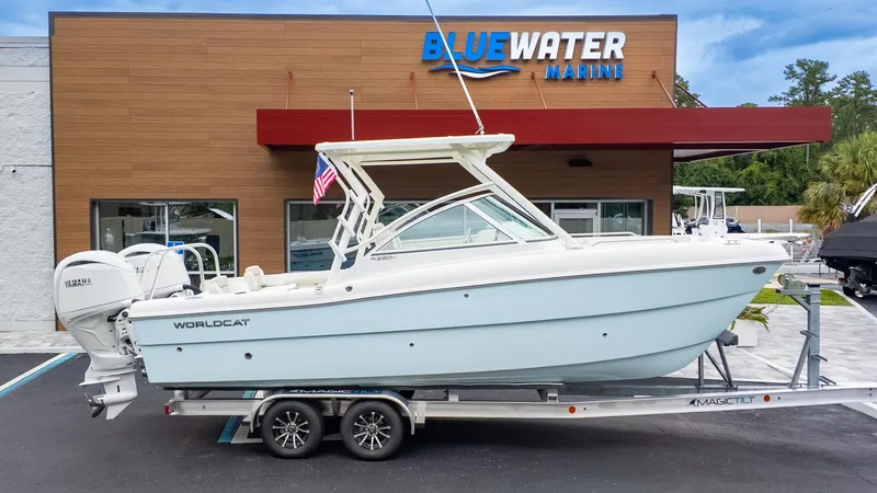 The Image of World Cat 230 DC 2026 - 1