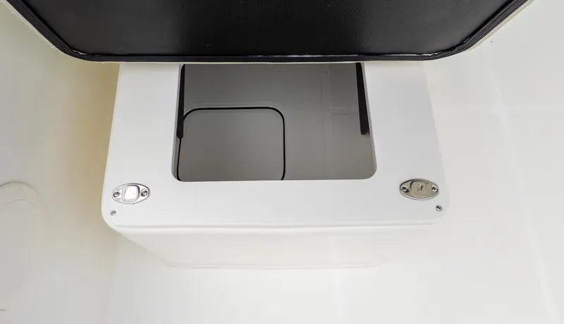 Slide: The Image of World Cat 230 DC 2026 - 13