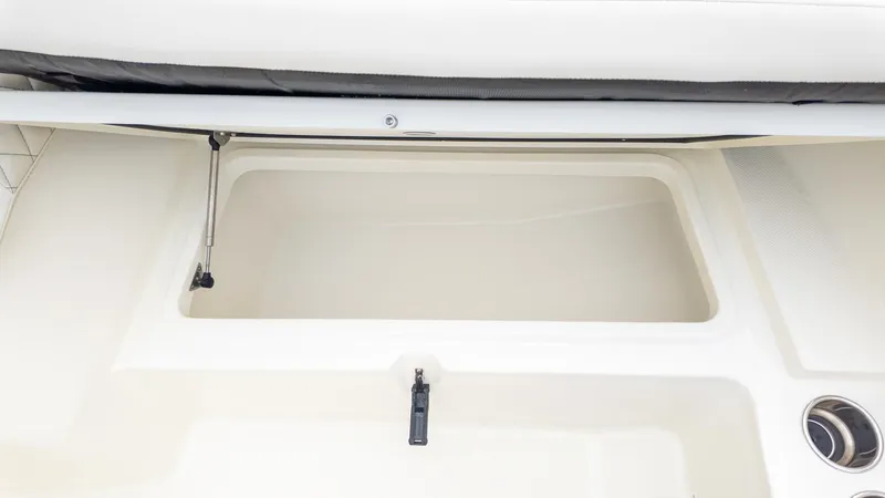 Slide: The Image of World Cat 230 DC 2026 - 18