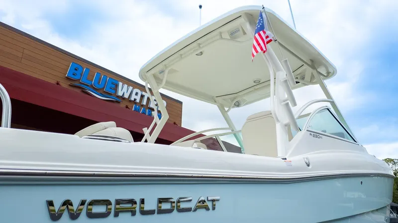 Slide: The Image of World Cat 230 DC 2026 - 2