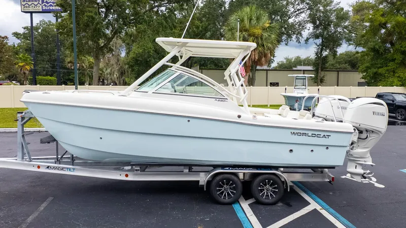 Slide: The Image of World Cat 230 DC 2026 - 5