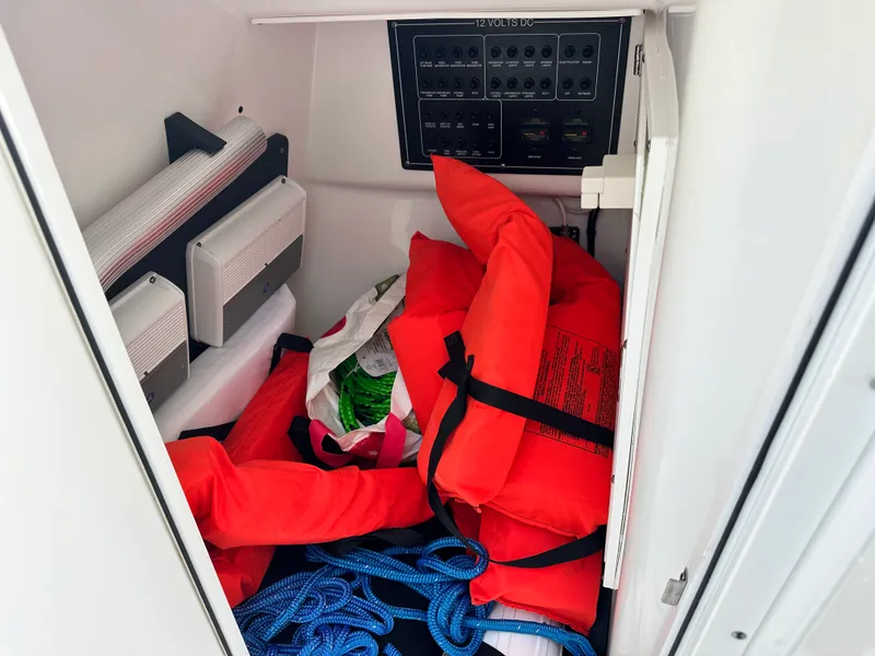 Slide: The Image of Blackfin 272 DC 2023 - 17