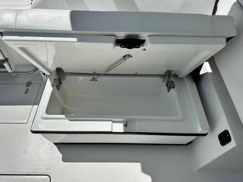 Slide: The Image of Blackfin 272 DC 2023 - 32