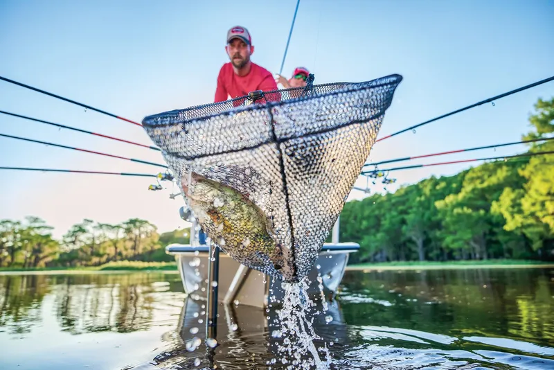 Slide: The Image of Tracker Pro Team 175 Crappie Edition 2025 - 100